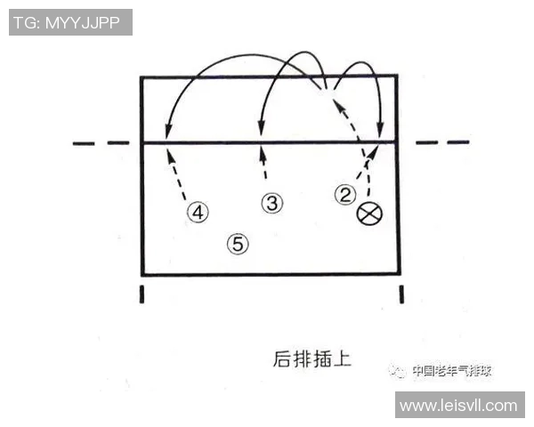 排球战术深度解析：上海排球队的成功之道与背后策略揭秘