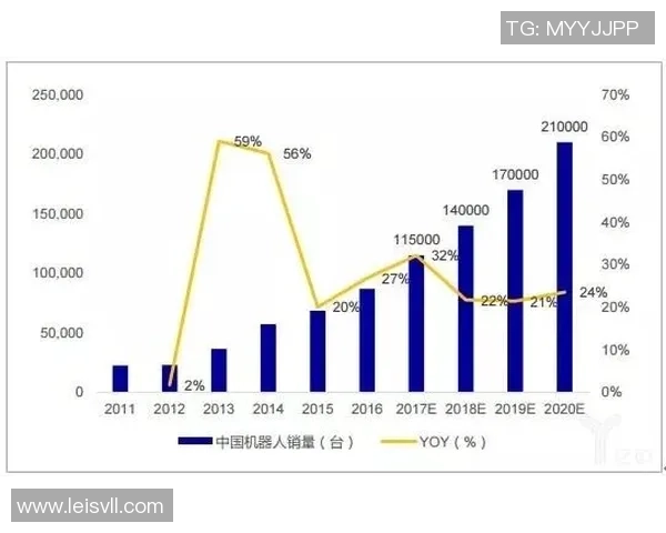 武汉羽毛球队运营分析：成功经验与面临挑战的深度探讨